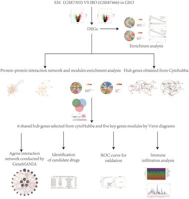 Potential shared pathogenic mechanisms between endometriosis and inflammatory bowel disease indicate a strong initial effect of immune factors